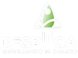 Logo Despega